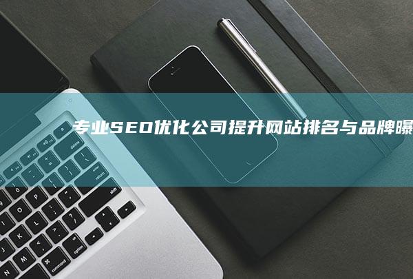 专业SEO优化公司：提升网站排名与品牌曝光